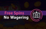 Best Free Spins No Wagering Casino Bonus August 2025 Logo