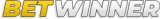 BetWinner Casino