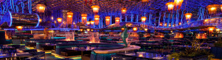 A Guide to Casino Loyalty Programs for High Roller Players