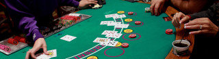 Top Whale Gambling Sites for High Rollers & VIP Players