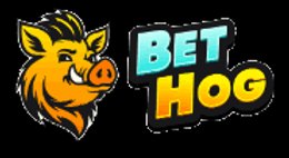 Bethog Casino