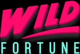 Wild Fortune Casino: €300 + 175 Free Spins