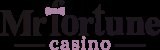 Mr Fortune Casino