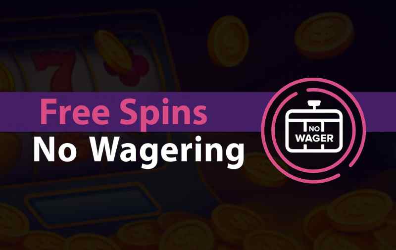 Free Spins No Wagering Bonuses