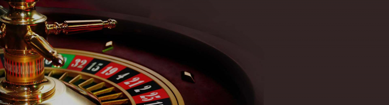 Best Bitcoin Roulette Casinos in 2023 (incl. Bonuses)