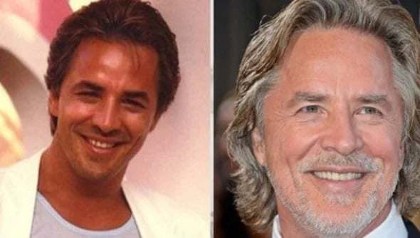 high roller gambler don johnson