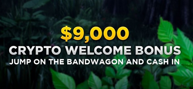 wild casino crypto welcome bonus