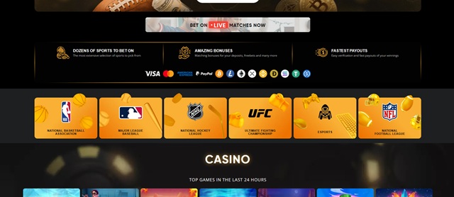 betwhale casino interface review