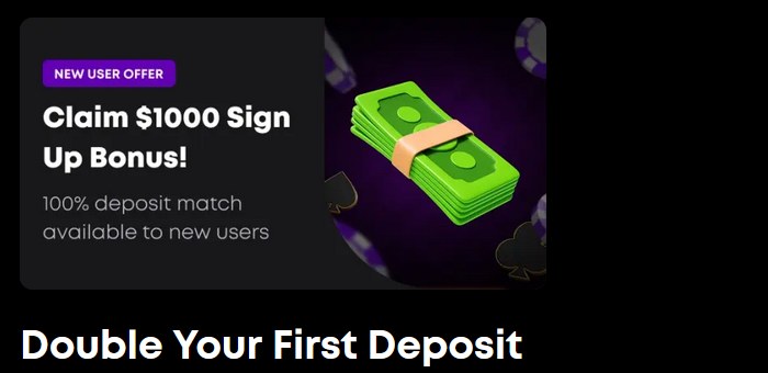 bethog casino review - welcome bonus