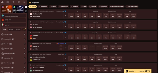 vincispin casino sportsbook