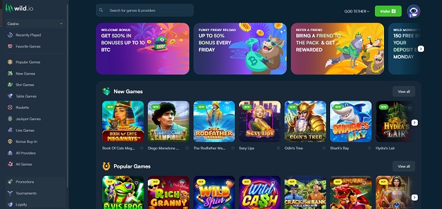 wild.io home page