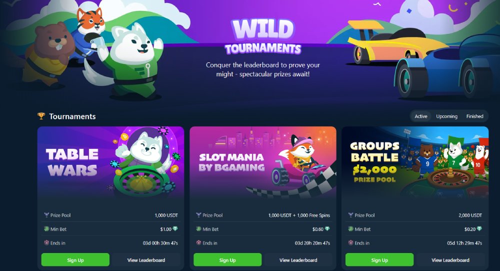 wild.io tournaments