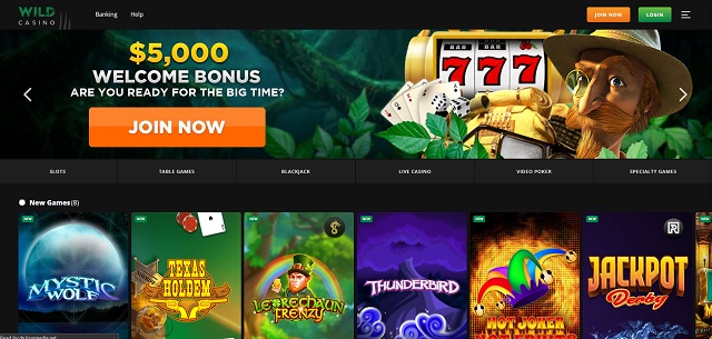 wild casino home page