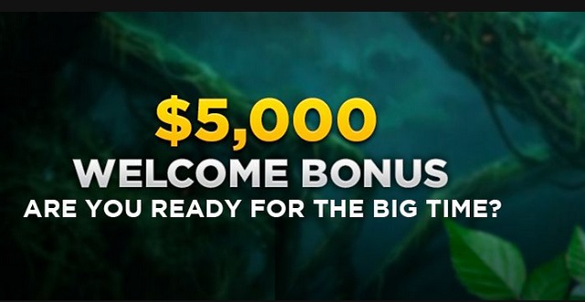 wild casino first deposit bonus